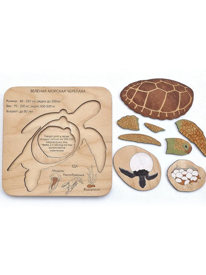Wooden handmade Puzzle Green sea turtle Montessori puzzle science play