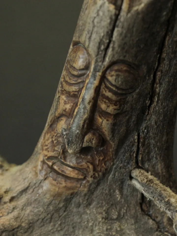 The Khakass Harp 2. In a prehistoric deer antler case.