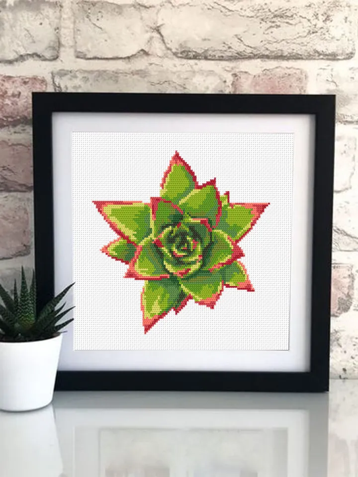 Succulent plant cross stitch pattern download PDF, Awesome floral cross stitch chart, Flower cross stitch, Plant pattern digital PDF #P27