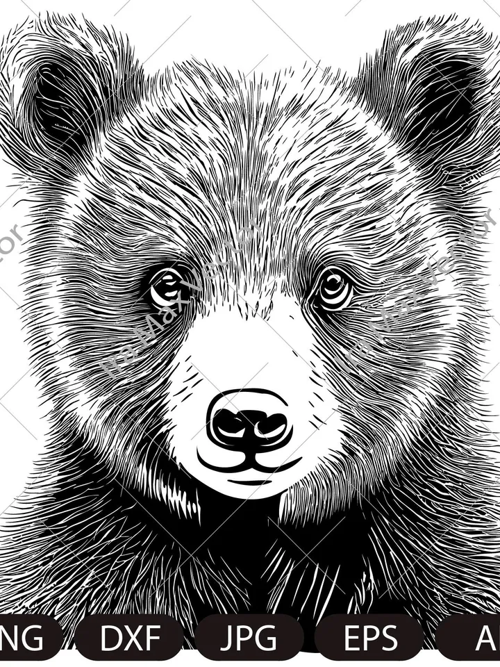 Baby bear svg, Bear cub face svg, Little bear, Nursery Decor, Safari African Animals, Bear Cub, Nursery Wall Art, Kids Printable Art