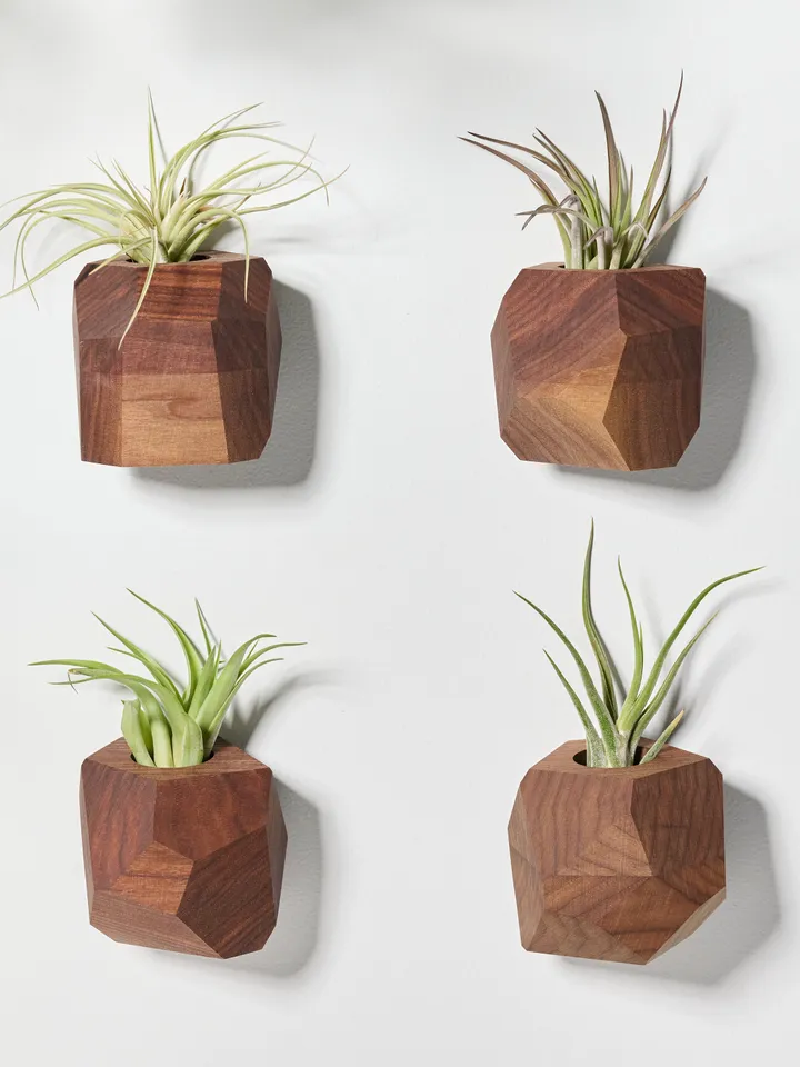 Walnut Geometric Air Plant Holder