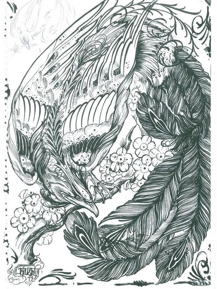 Bola sketchbook - Fenix