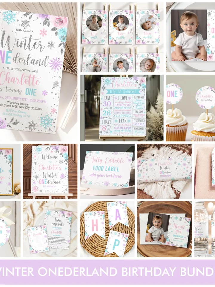Winter Onederland Birthday Girl Decorations, Winter Onederland Birthday Party Package Bundle, Pink Blue Snowflakes Editable Template i098