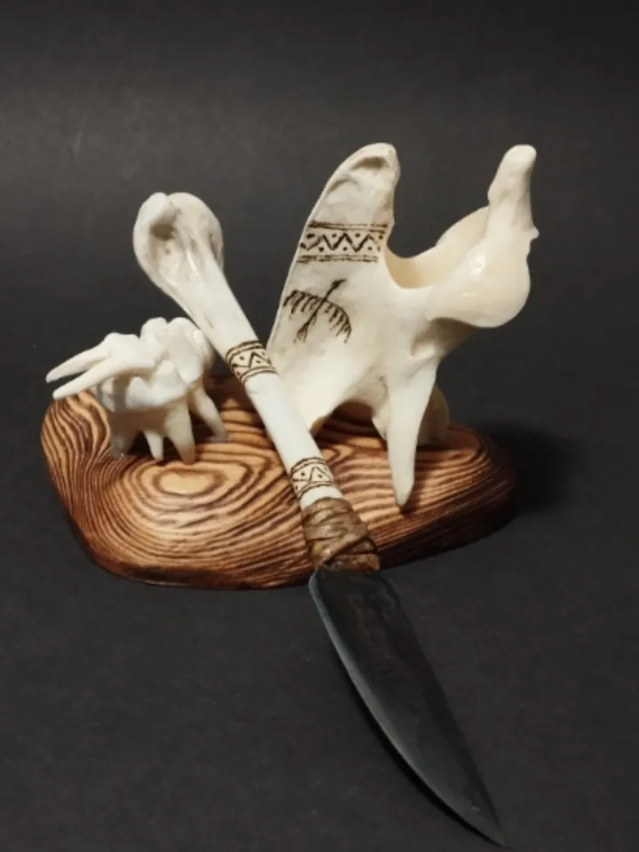 Knife of vulture bone