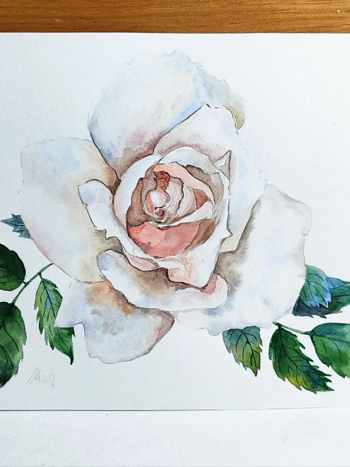 White Rose painting original watercolor art plant floral artwork flower