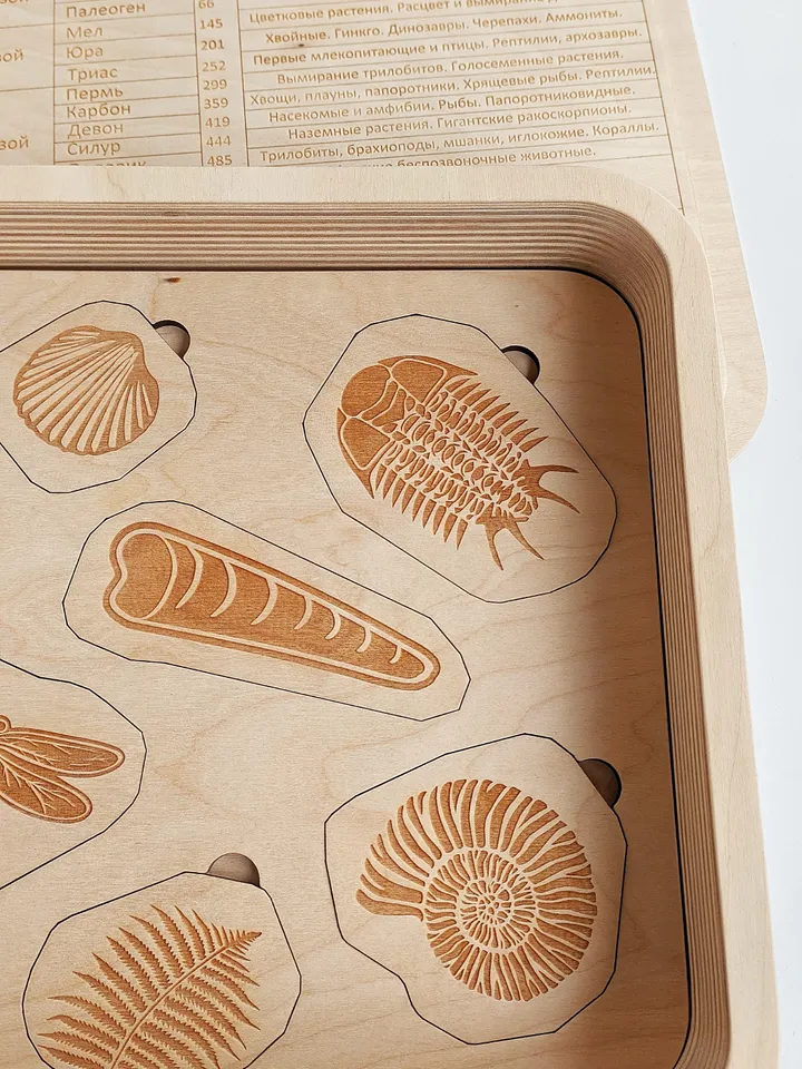 Wooden paleontologist set Wooden Puzzle Dinosaur Skeletons Montessori puzzle science play Wooden game