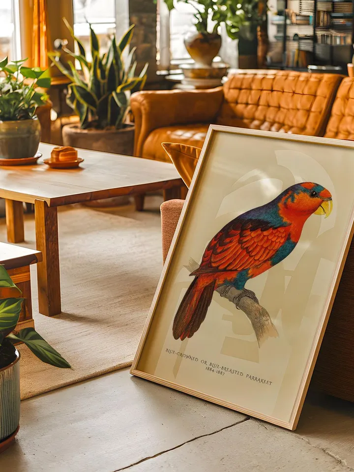 80+ Vintage Parrot Illustration Bundle Colorful Bird Wall Art Retro Parrot Prints Eclectic Antique Style Digital Download for Bird Lovers