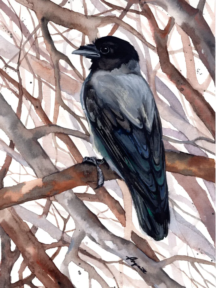 Crow Original watercolor, bird painting, wall decor, birds lover gift, 8x11 in handmade art by Anne Gorywine