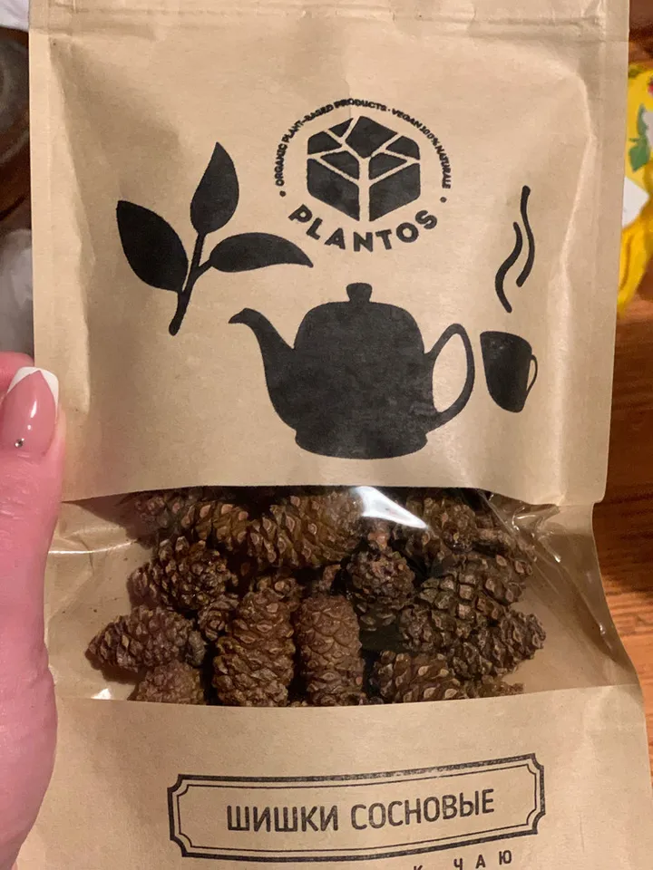 Pine cones useful additive to tea, coniferous aroma