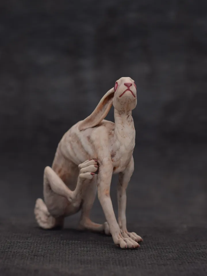 White rabbit