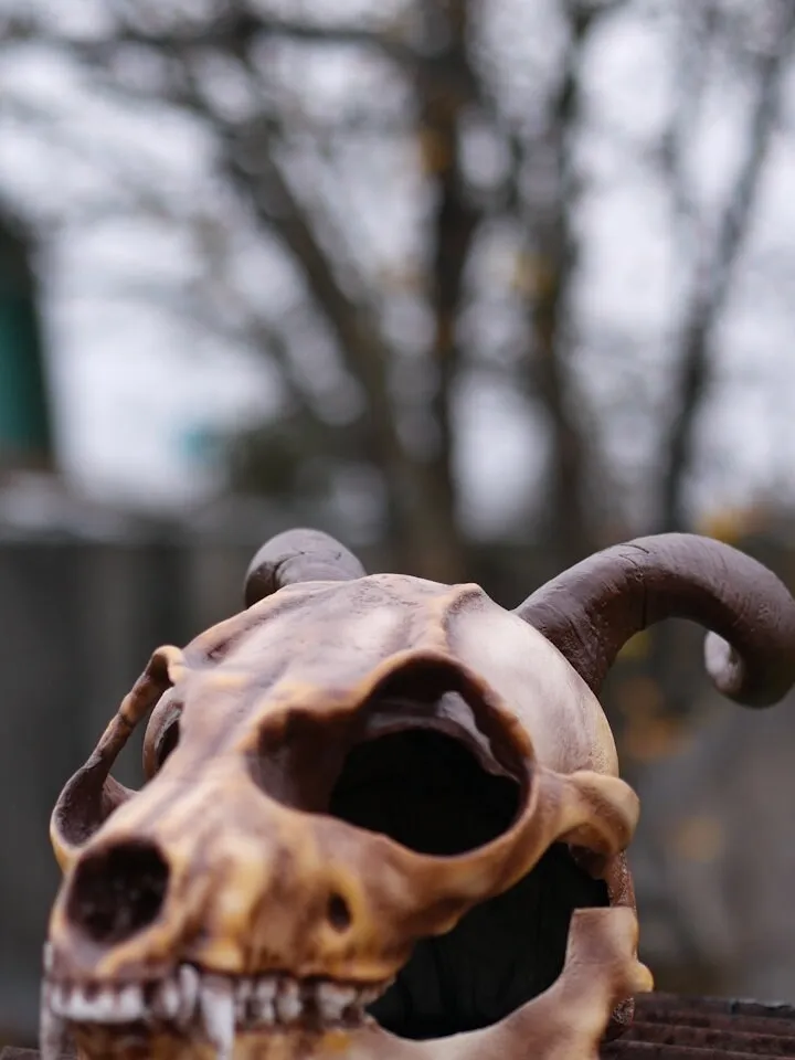 Fox Skull head mask with horn, Antler Mask, Realistic Skull Mask, skull costume mask, Horror Mask, halloween scary mask, creepy mask