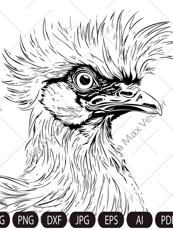 Silkie hen svg, Silkie hen head svg, Silkie hen face svg, Silk rooster, Silkie bird, FUNNY SILKIE HEN Digital image, animal, bird, hen, cock
