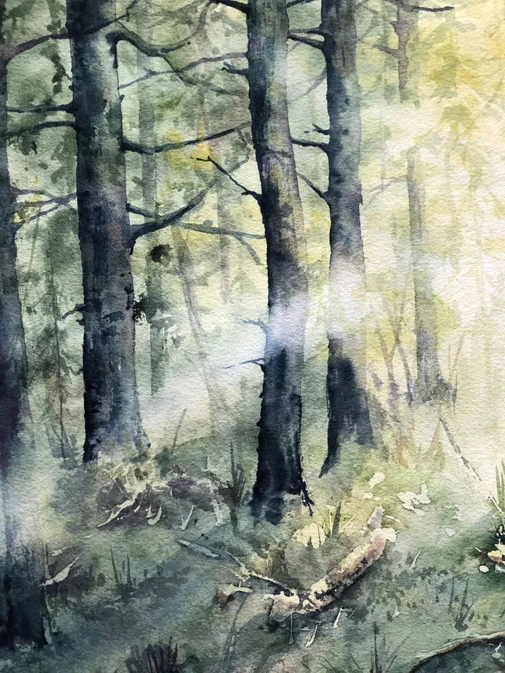 Forest Painting Original Trees Watercolor Painting Sunset Wall Art