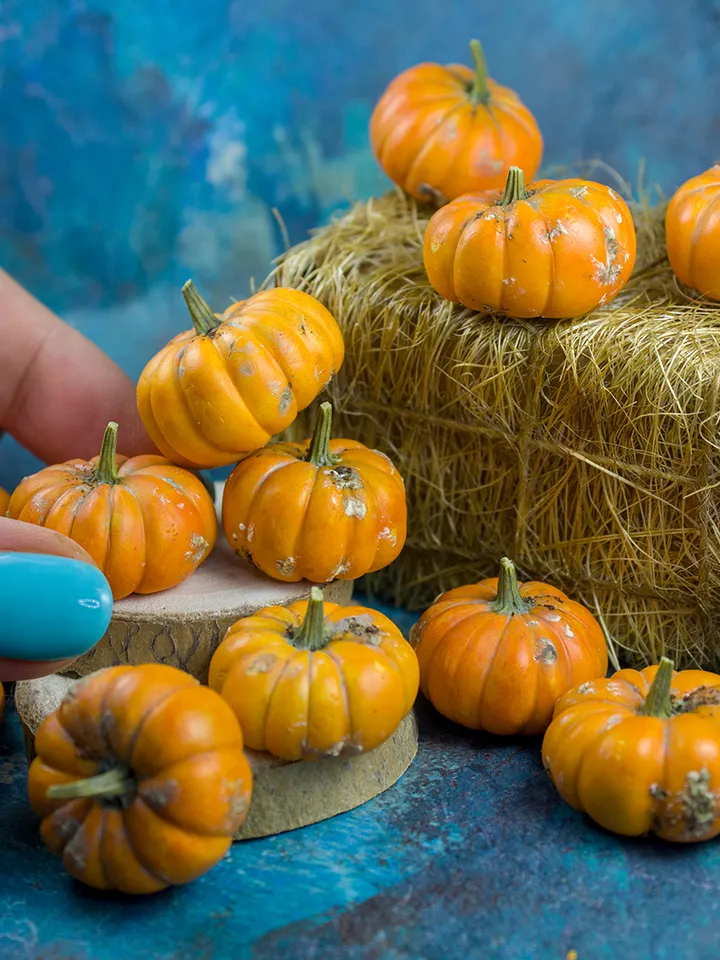 TUTORIAL miniature dirty pumpkins polymer clay