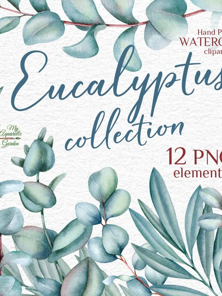 Eucalyptus. Watercolor nad-painted clipart. Exotic tropical leaves. Stickers, cards, wishes, wall art. Instant download. Printable PNG files