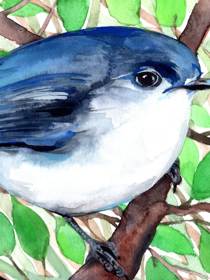 Blue bird original watercolor, birds painting, handmade wall decor, 5x7 in art for bird lovers by Anne Gorywine