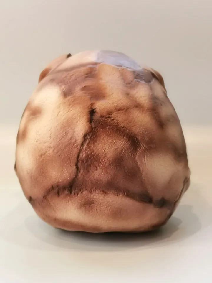 Homo Ergaster Skull Replica Turkana Boy, Prehistoric Fossil Collection, Realistic Hominid Skull, Museum Quality