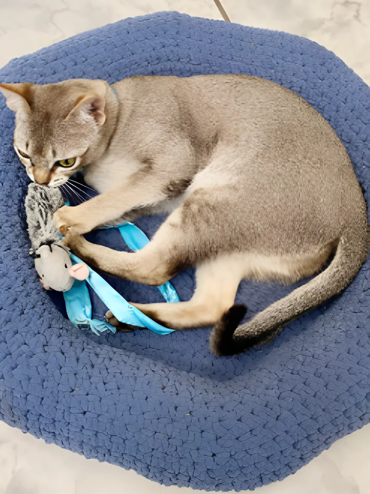 Easy Doughnut-Shaped Pet Bed