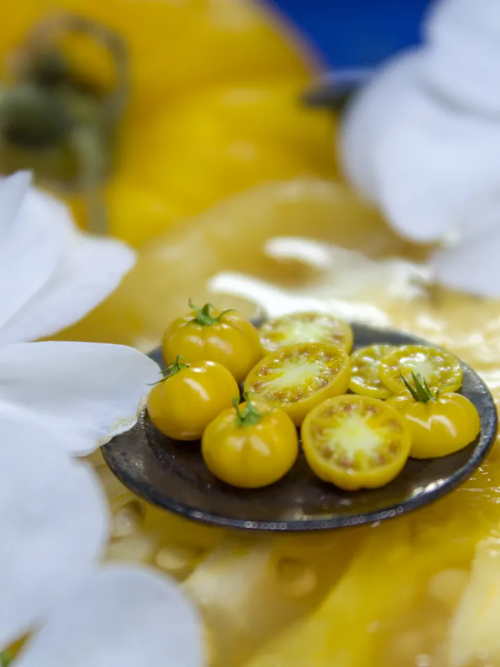 TUTORIAL Miniature big yellow tomato cane with polymer clay