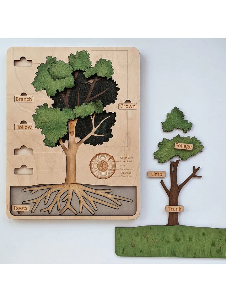 Wooden Tree structure puzzle Montessori Wooden puzzle science play
