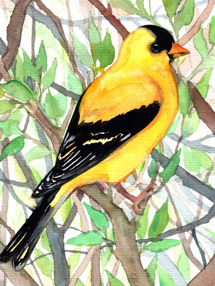 Goldfinch original watercolor, birds painting, wall decor, 7x10 in art for bird lovers by Anne Gorywine