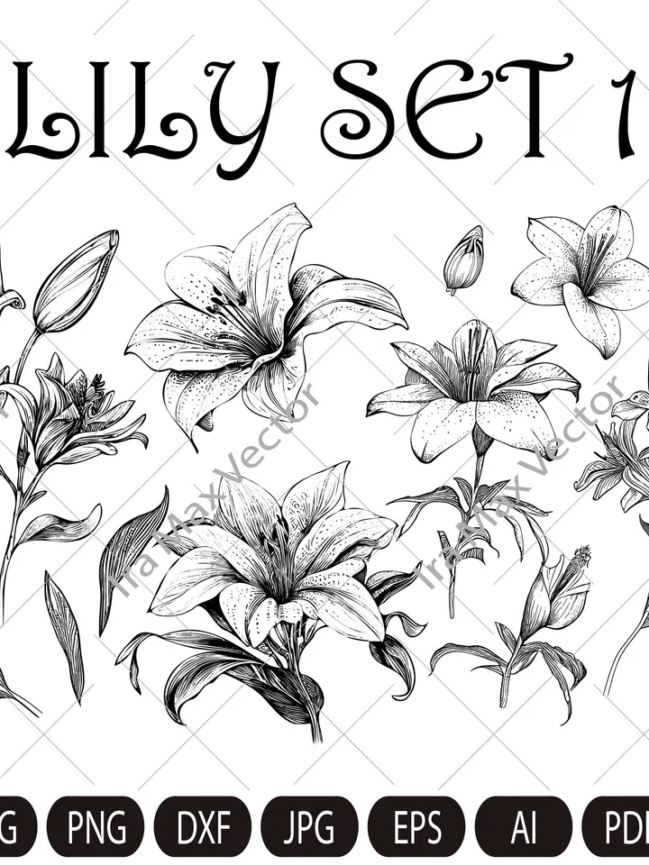 Lily Flower Svg, Lily Svg Bundle, Lily set Svg, Hand Drawn Lily Svg, Flwer Bouquet Svg, Floral Svg, Flower Wedding, Flower Svg Files