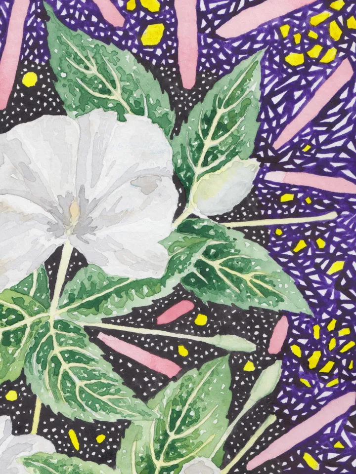 Original work in watercolor. White spring flowers