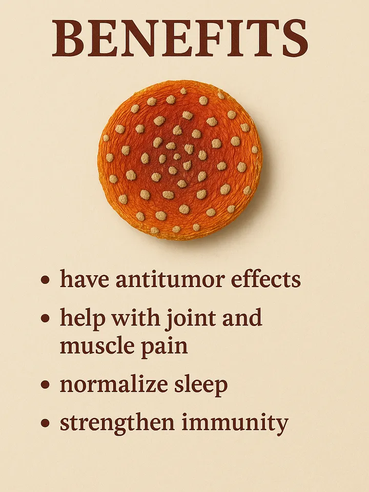 Red Spotted Amanita|20g Premium Dried Mushrooms