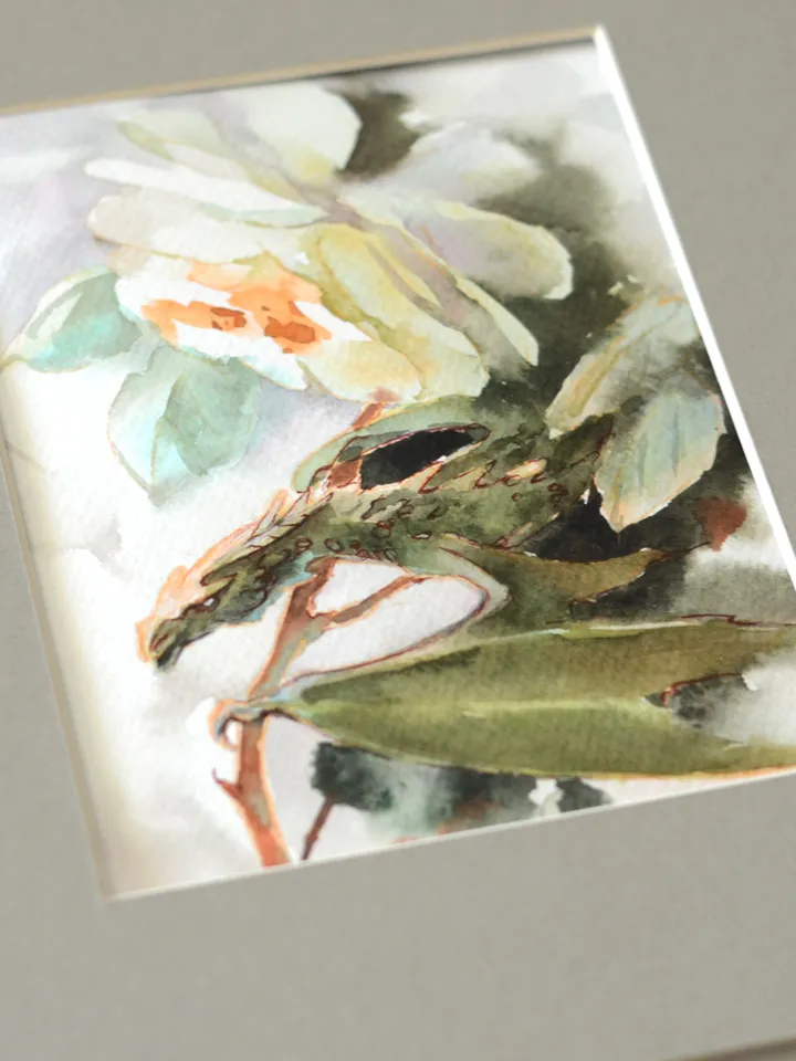 White rose dragon Watercolor painting Original fantasy art by Yulia Evsyukova