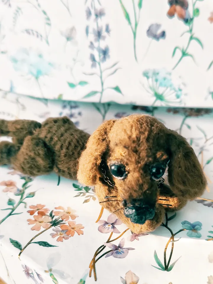 Miniature dachshund