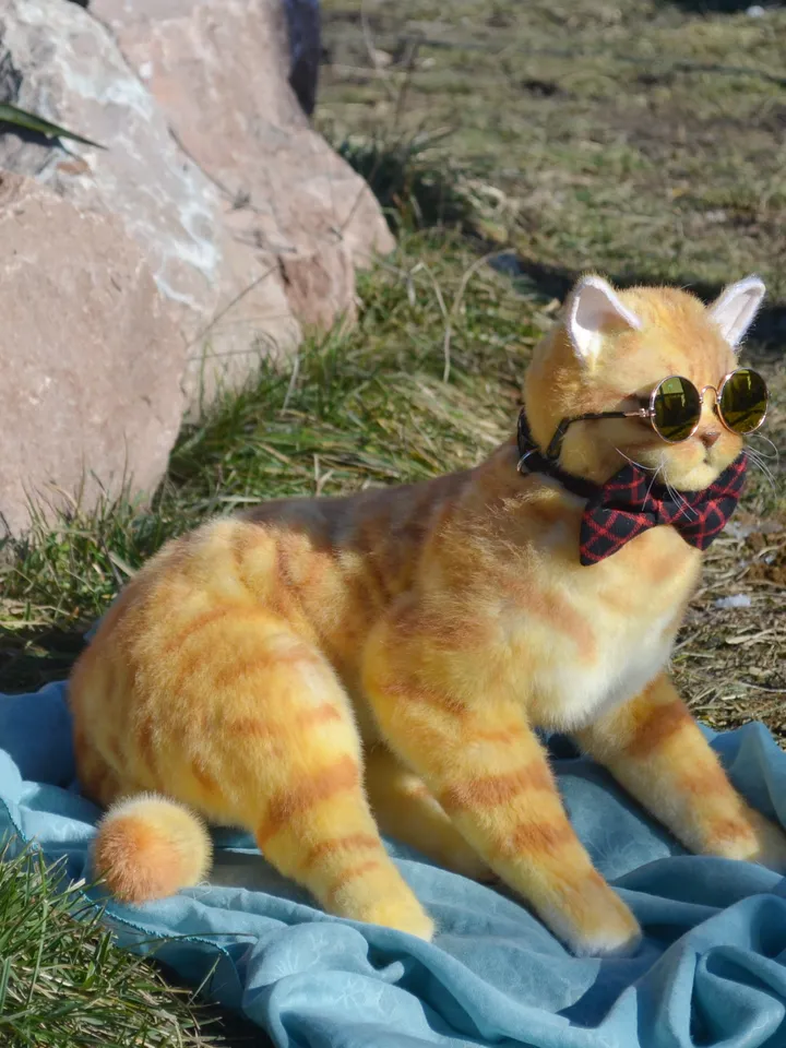 March cat.