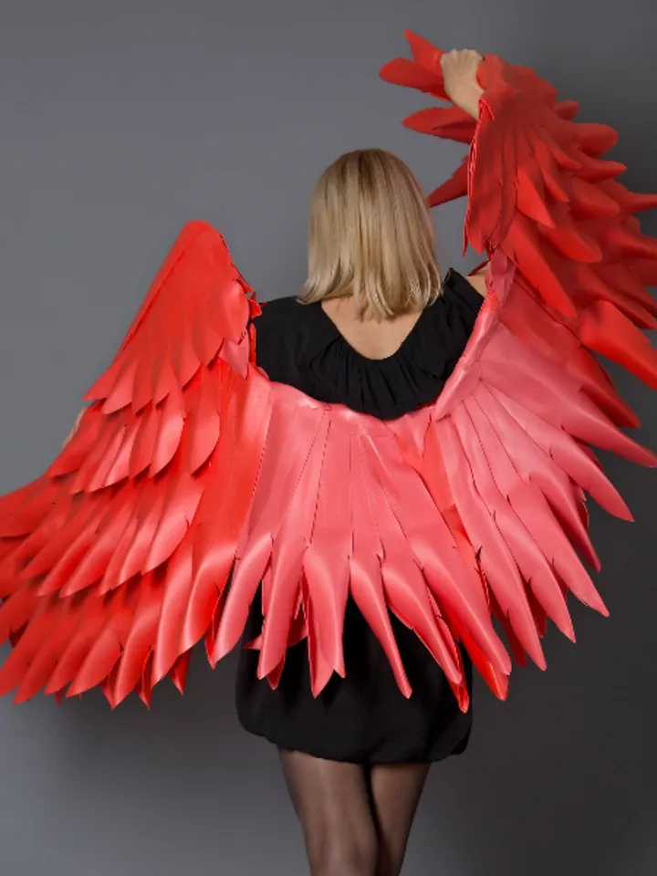 Red wings, Christmas Angel wings, Red wings cosplay, girl in red, Valentines day wings, red wings birthday gift