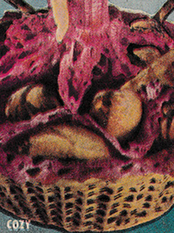 FREE Vintage Crochet Pattern Doll Hot Rolls Cozy Pattern Digital Download PDF