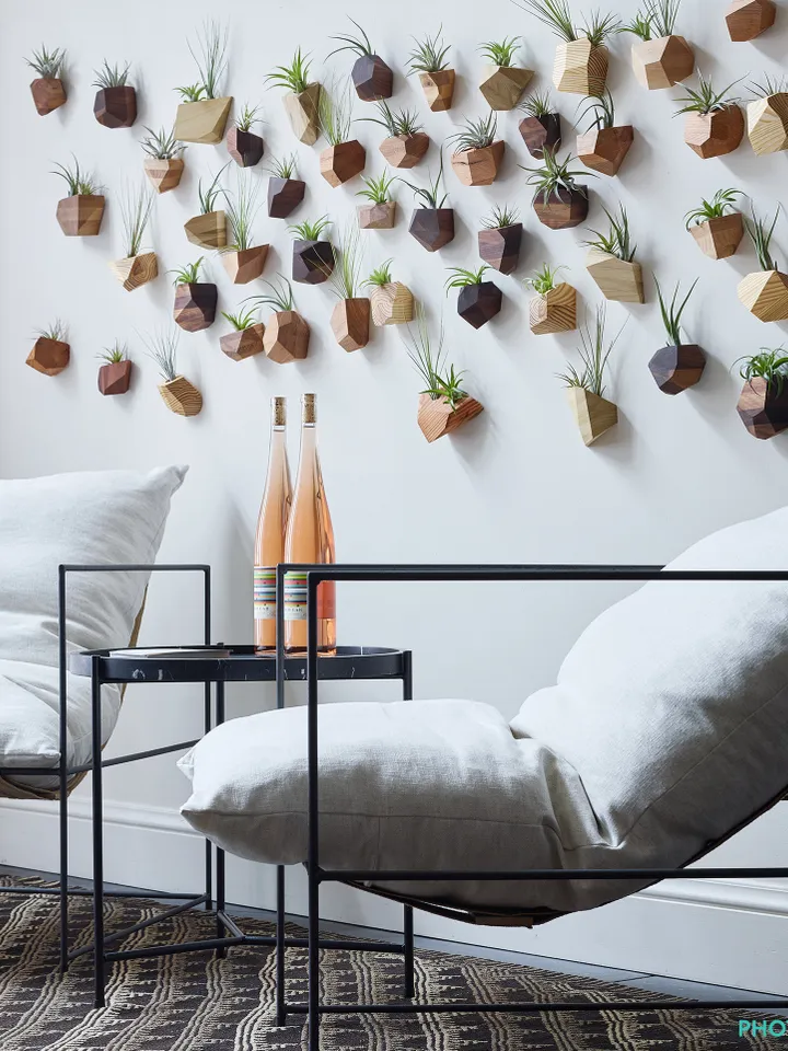 Walnut Geometric Air Plant Holder