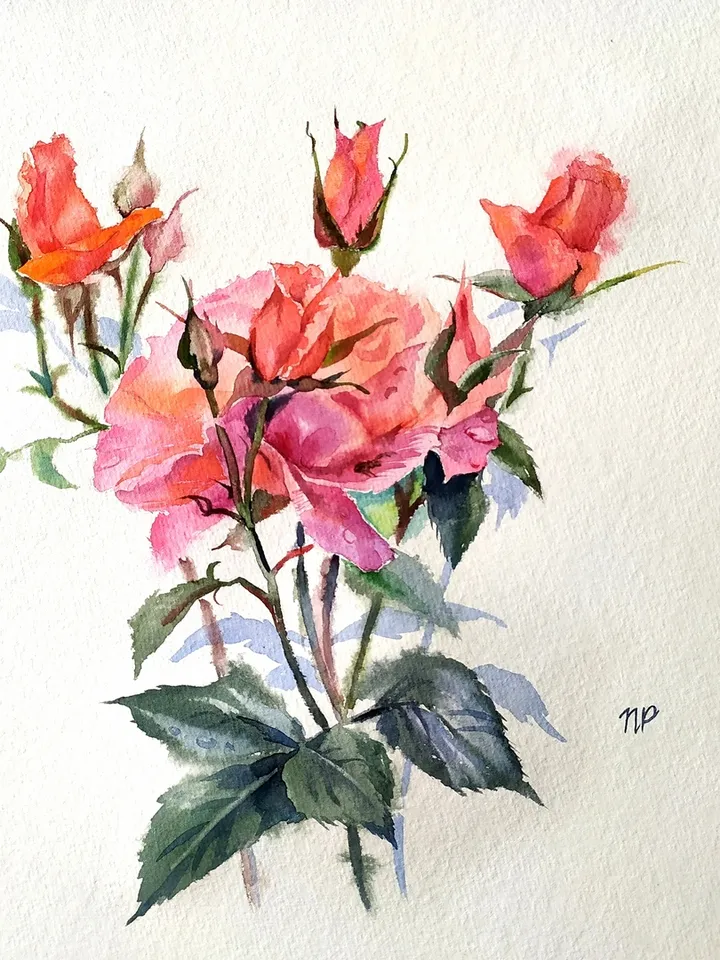 Rose Painting Floral original art 12 by 12 Red Flower watercolor square wall art Rose aquarelle by Natalia Plotnikova