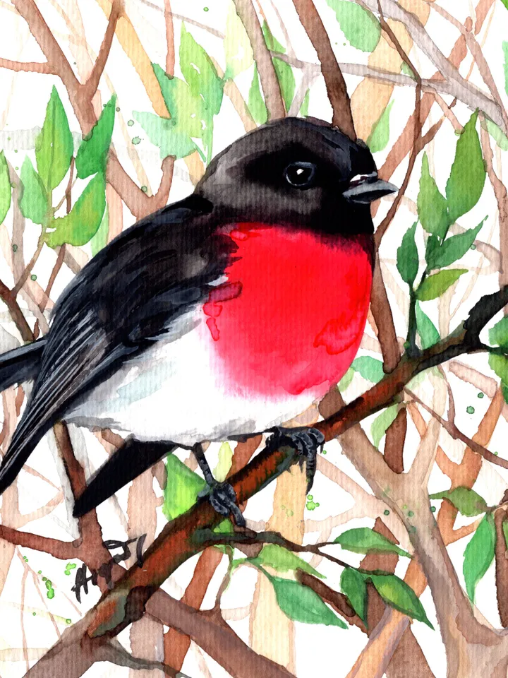 Robin original watercolor, birds painting, wall decor, 7x10 in art for bird lovers by Anne Gorywine