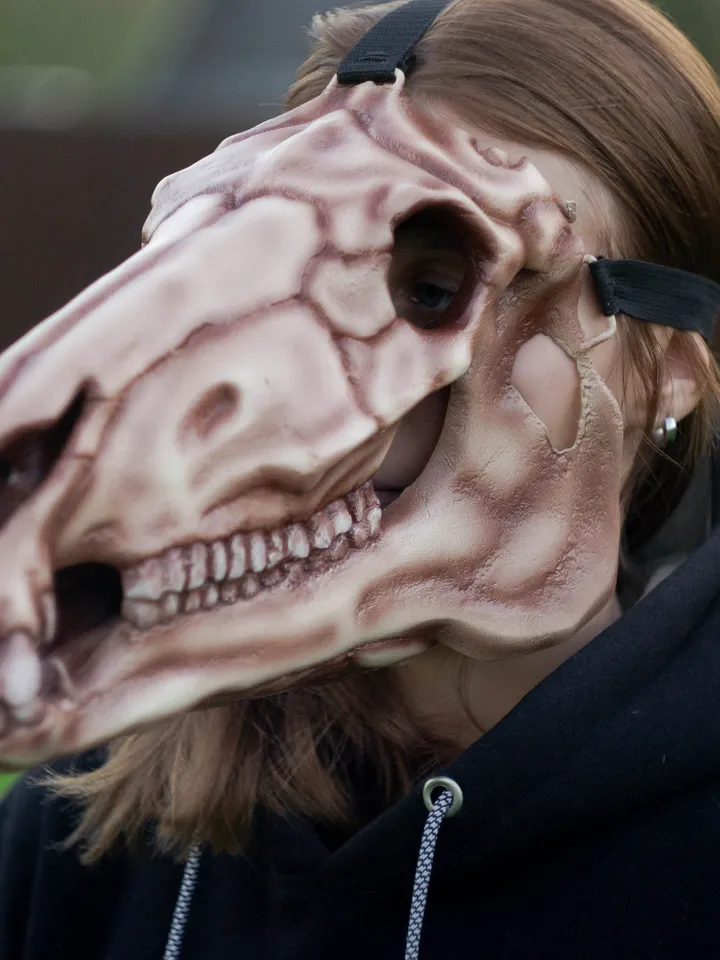 Horse Skull Mask, Horror Mask, Realistic Skull Mask, halloween scary mask, creepy mask, skull costume mask, shamanic mask,pagan mask