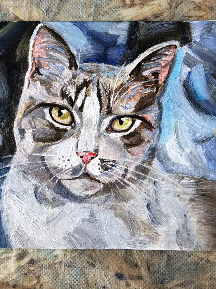 Cat portrait original oil painting hand painted modern impasto painting wall art 6x9 inches