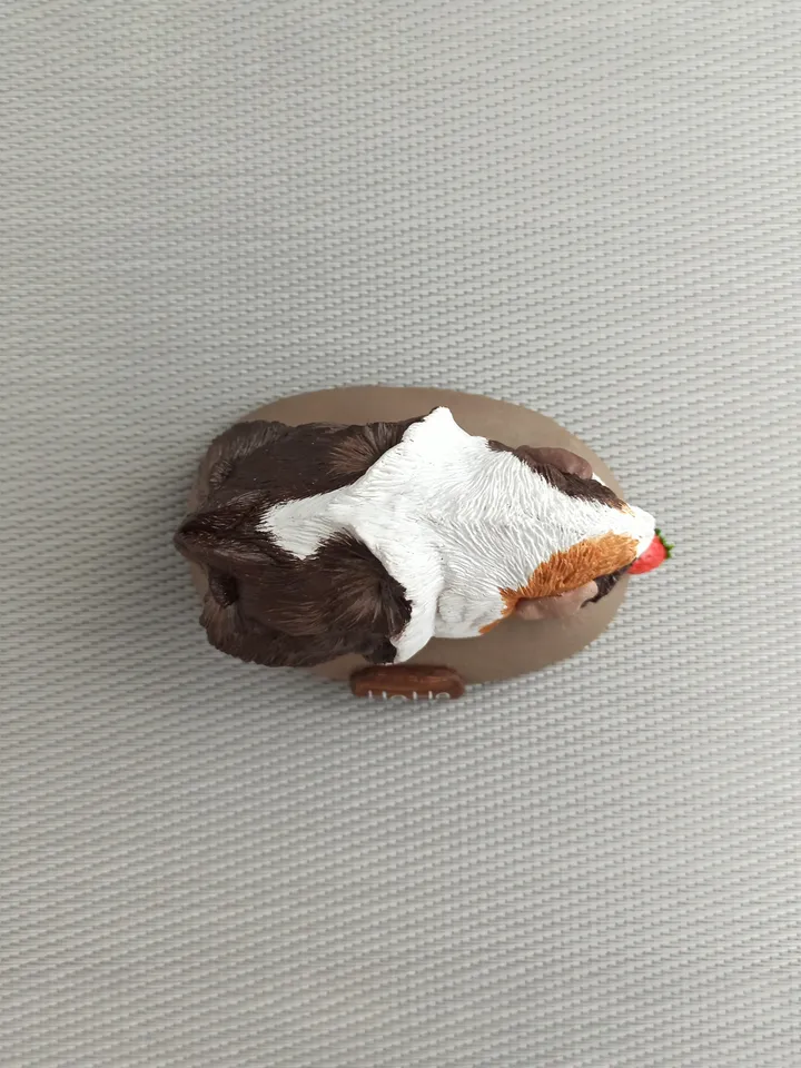 Custom fluffy guinea pig figure
