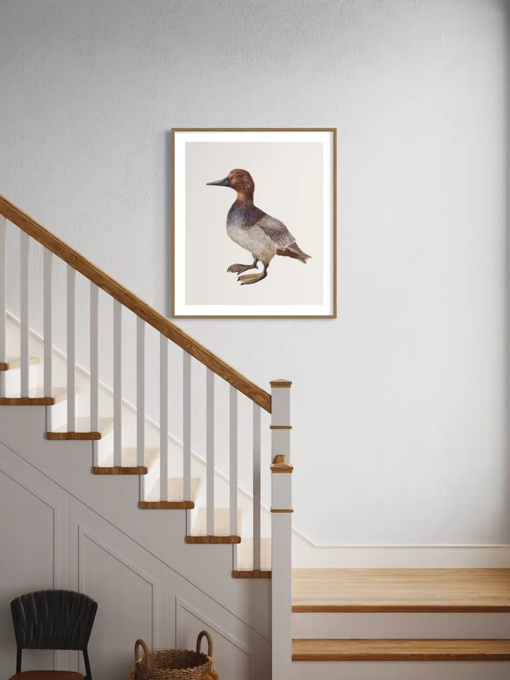 Mallard Duck Watercolor Painting Print, Vintage Duck Print, Duck Painting, Duck Decor, Birds Lovers, Dock Gifts, Duck Illustration, Wood Art