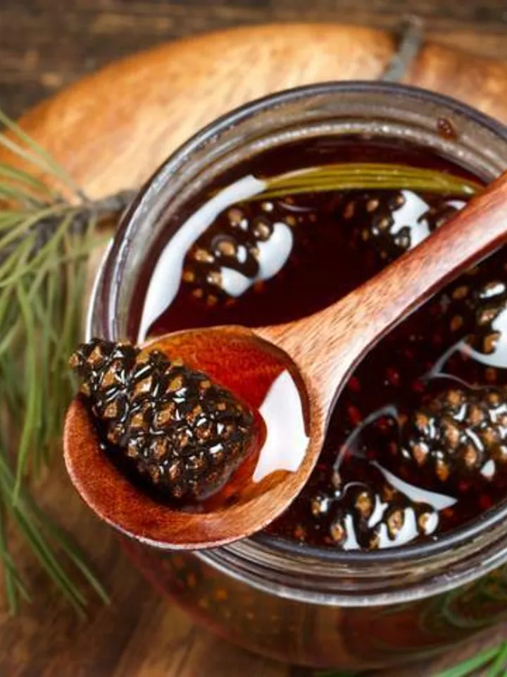 Pine cone jam, 480 g