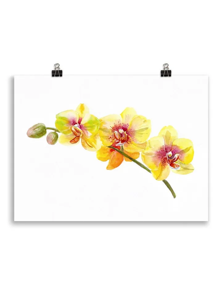 Watercolor Orchid Art Flower Line Art  Wild Flowers Botanical Printable Wall Art Flower Print Minimal Botanical Poster Giclee Botanical Art