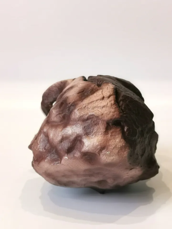 Kenyanthropus Platyops Skull Replica, Prehistoric Fossil Collection, Realistic Hominid Skull, Museum Quality