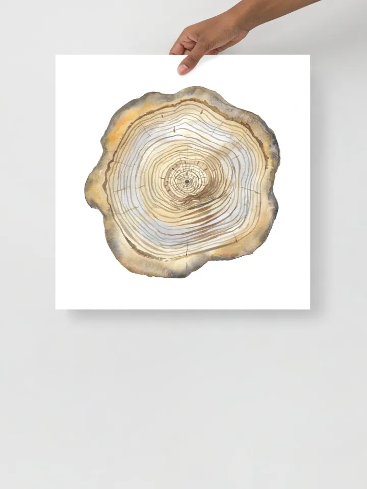 Tree Stump Print Tree Ring Watercolor Wall Art Wood Cut Art Forest Decor Tree Ring Painting Scandinavian Print Minimalist Poster Watercolor