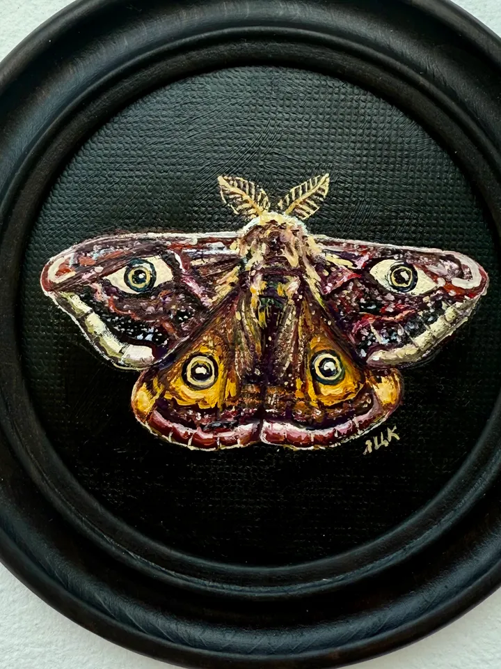 Moth Painting Original Gold Frame Art Round Oil Painting Small Dark Academia Original Painting Dark Framed