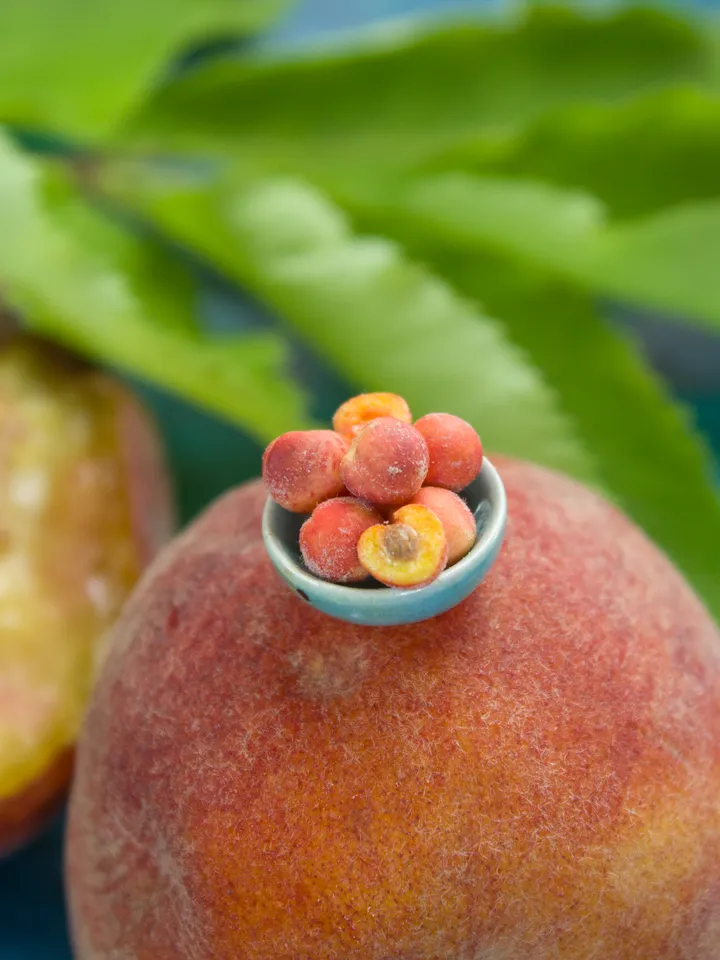 TUTORIAL Miniature peaches with polymer clay