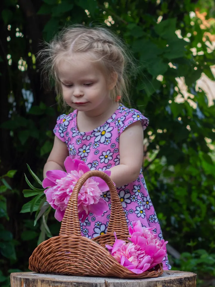 French wicker basket Small oval basket Wedding flowers basket Flat oval basket with handle