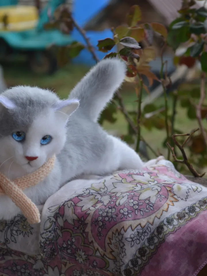 Kitten Marie