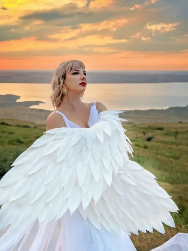 White wings, Christmas wings, sleeves, arms wings, gloves, poultry wings, swan