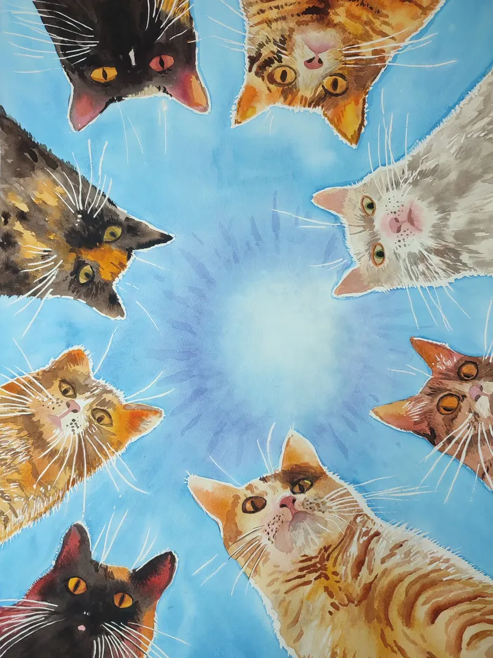 Painting watercolor/ "Admin, get up!